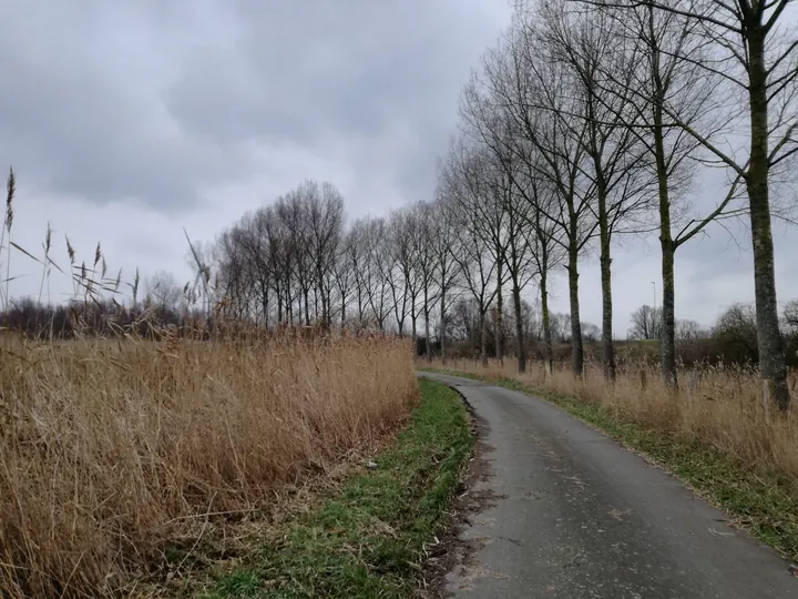 Plains of Zwijndrecht, Antwerp (Belgium)